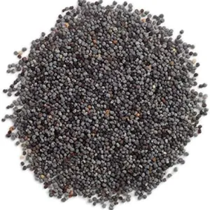 Poppy Seeds (5lbs)