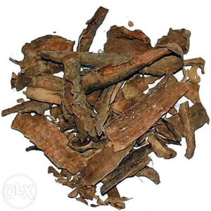 Buy Iboga Root Bark